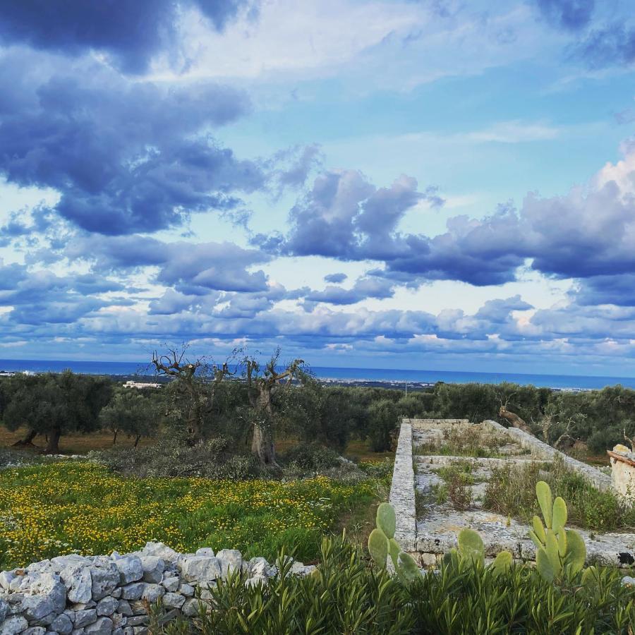 Bed and breakfast La Guendalina Masseria E Casa Particular